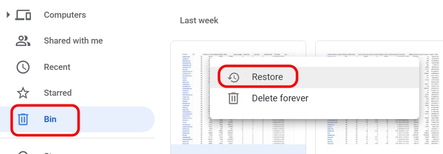 Bin folder restore file